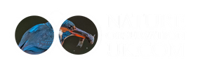 Nature Observation UK